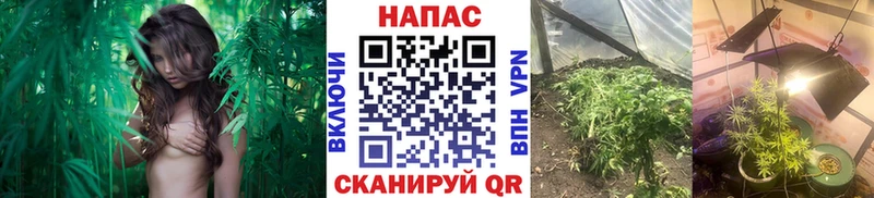 Купить наркотик Надым Бошки Шишки  kraken как зайти  ГАШИШ 