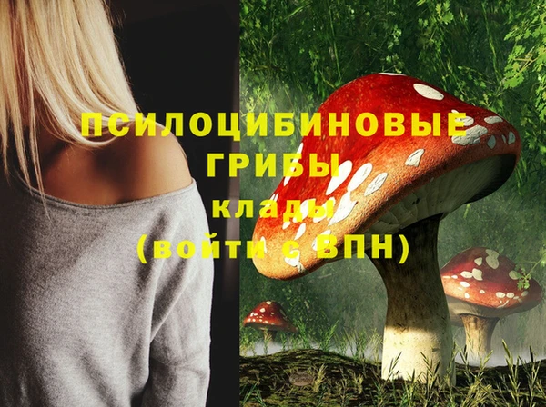 мефедрон мука Богородицк