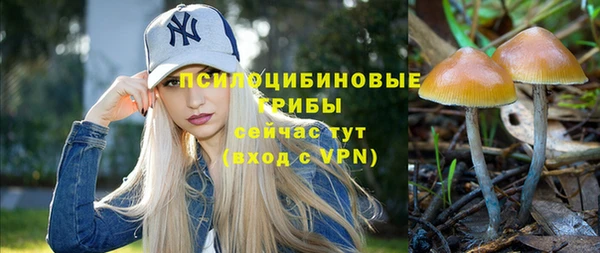 марки nbome Богданович