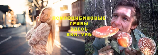 гашик Белоозёрский