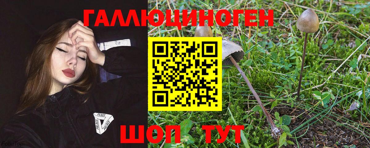 Галлюциногенные грибы Psilocybine cubensis  Псилоцибиновые грибы GOLDEN TEACHER  Вход с VPN  Надым 